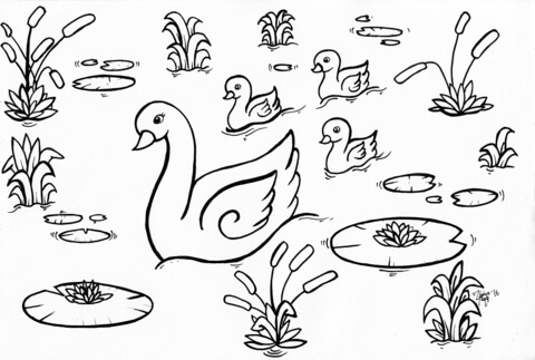 Swan Swimming Coloring Page